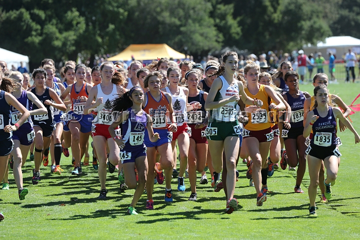 2015SIxcHSSeeded-177.JPG - 2015 Stanford Cross Country Invitational, September 26, Stanford Golf Course, Stanford, California.